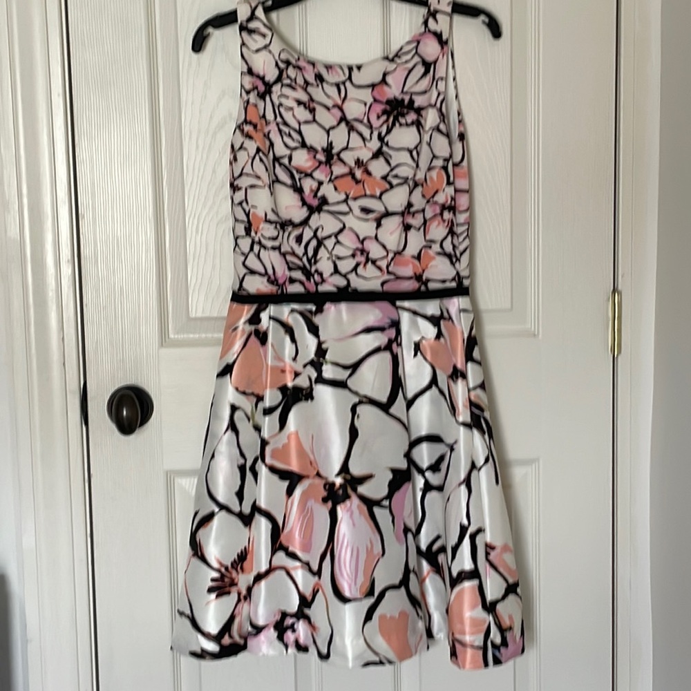 Taylor Fit & Flare Dress Worn Once